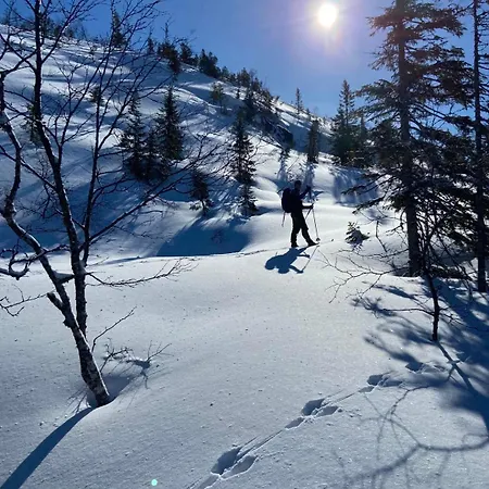 Arctic Dome Namdalen Luxury tent Hoylandet