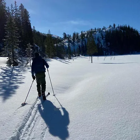 Arctic Dome Namdalen Lüks kamp alanı *