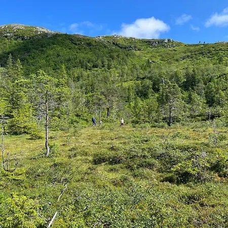 Lüks kamp alanı Arctic Dome Namdalen Hoylandet